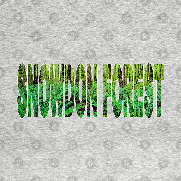 SNOWDON FOREST - South Island New Zealand Fangorn by TouristMerch